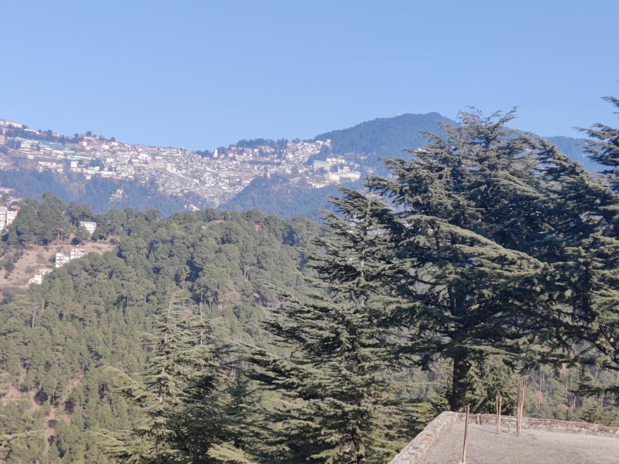 Shimla Hills Apartments 2Bhk Стая снимка